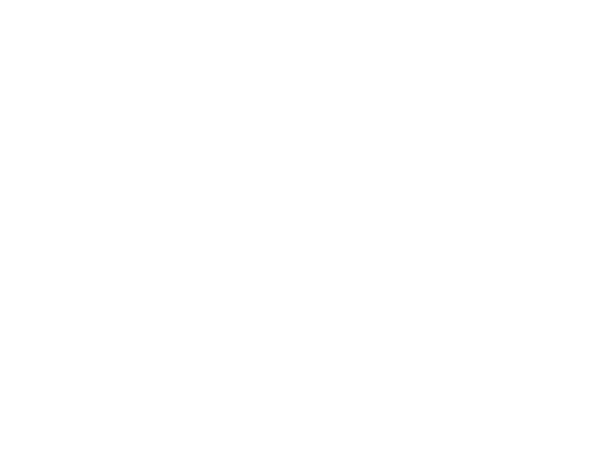 Mokslinis šou šventei